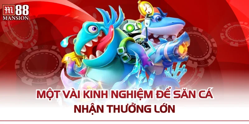 Một vài kinh nghiệm để săn cá nhận thưởng lớn