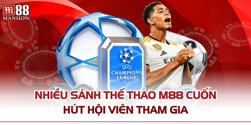 Nhiều sảnh thể thao M88 cuốn hút hội viên tham gia