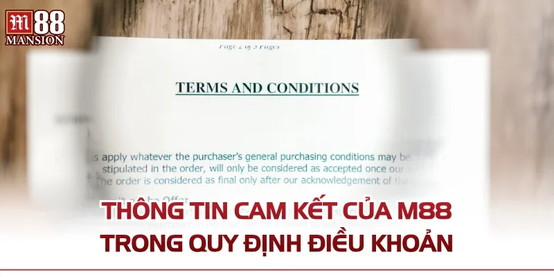 Thông tin cam kết của M88 trong quy định điều khoản