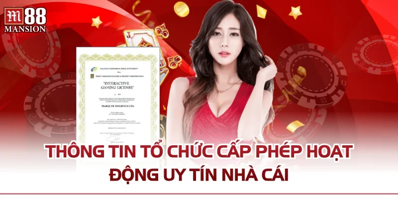 Thông tin tổ chức cấp phép hoạt động uy tín nhà cái