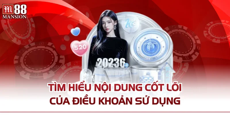 Tìm hiểu nội dung cốt lõi của điều khoản sử dụng